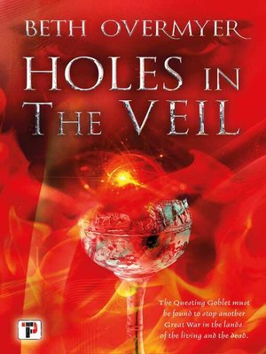 cover image of Holes in the Veil